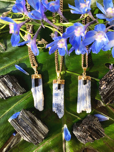 Blue Kyanite & Black Tourmaline Crystal Gold Necklace