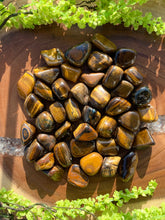 Load image into Gallery viewer, Tiger Eye Tumbled