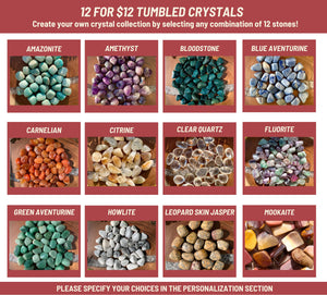 12 for 12 Tumbled Stones, Make your own Custom Crystal Collection, Polished Gemstone Gift Set, Beginner Crystal Kit, Bulk Crystals