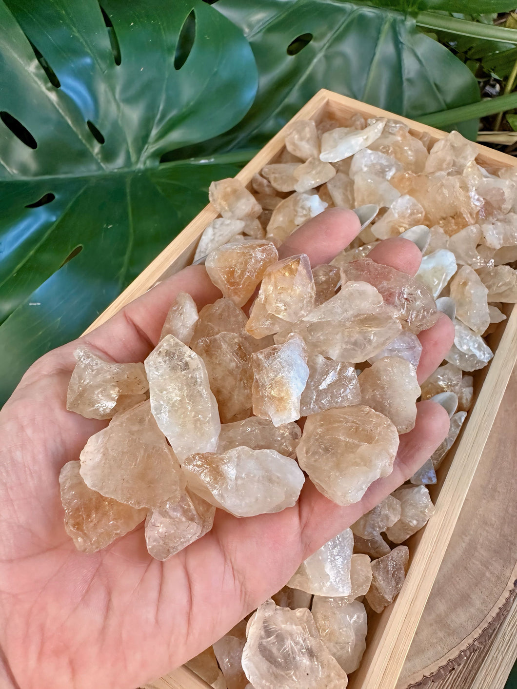 Wholesale Citrine Crystal Chips, Bulk Rough Citrine Crystal Lot by Ounces or Pound, Natural Raw Yellow Citrine. Select 4oz, 8oz, 1lb, 2lbs