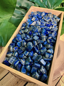 Wholesale Tumbled Lapis Lazuli Crystals by the Pound, Bulk Lot of Polished Lapis Lazuli.