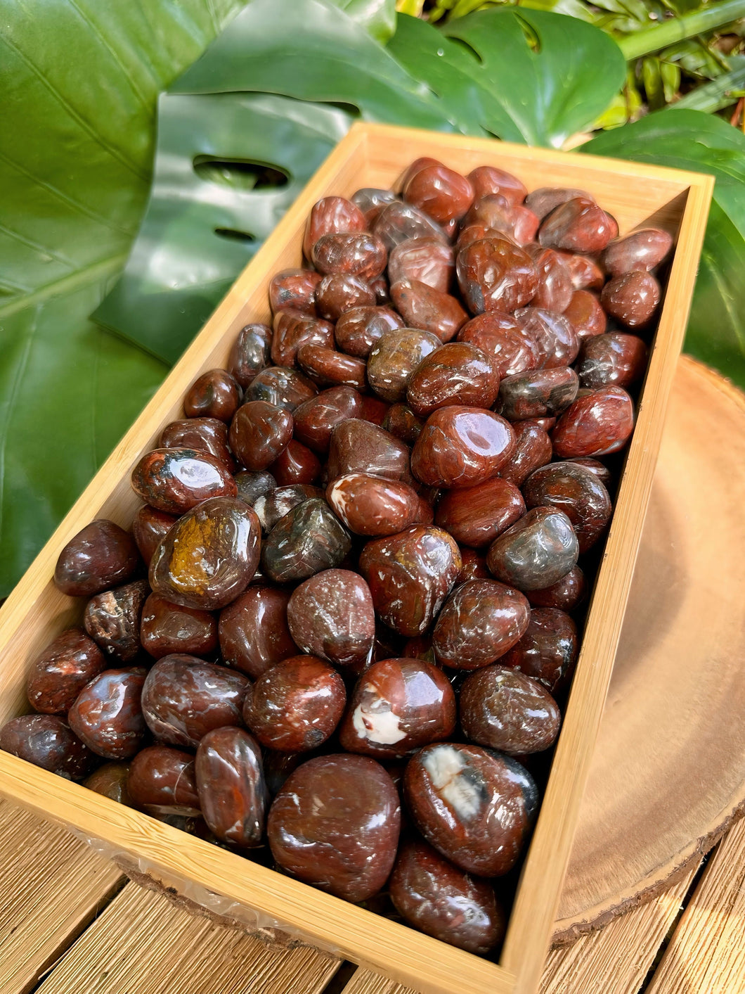 Wholesale Tumbled Petrified Wood by the Pound, Lb, Lbs. Bulk Lot of Polished Petrified Wood