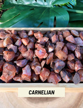 Load image into Gallery viewer, 2lbs Raw Crystals, Choose from Amethyst, Citrine, Carnelian, Quartz, Fluorite &amp; More! | Wholesale Rough Gemstones, Bulk Natural Raw Rocks