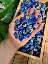 Load image into Gallery viewer, Wholesale Tumbled Lapis Lazuli Crystals by the Pound, Bulk Lot of Polished Lapis Lazuli.