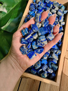 Wholesale Tumbled Lapis Lazuli Crystals by the Pound, Bulk Lot of Polished Lapis Lazuli.