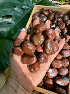 Wholesale Tumbled Petrified Wood by the Pound, Lb, Lbs. Bulk Lot of Polished Petrified Wood