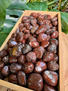 Wholesale Tumbled Petrified Wood by the Pound, Lb, Lbs. Bulk Lot of Polished Petrified Wood