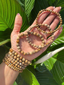 Picture Jasper Bracelet, 4mm, 6mm, 8mm Bead, Jasper Stone Stretch Bracelet, Premium Natural Gemstone Jewelry, Premium Grade, Wholesale Bulk