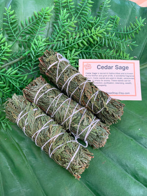 Cedar Sage Smudge Bundle