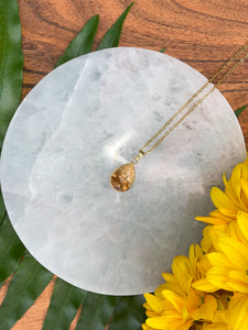 Picture Jasper Small Teardrop Crystal Gold Necklace