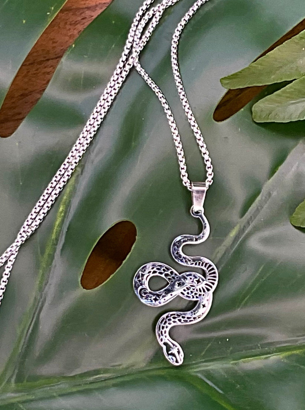 Celestial Snake Silver Necklace