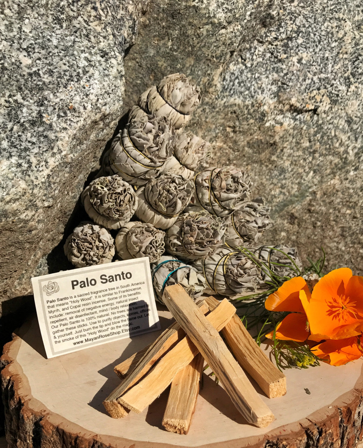 Palo Santo Wood Sticks (Large) – Astral Collective