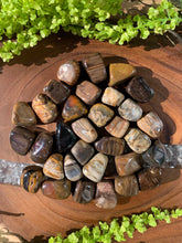 Load image into Gallery viewer, Petrified Wood Tumbled