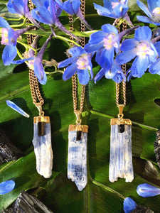 Blue Kyanite & Black Tourmaline Crystal Gold Necklace