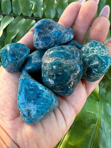 APATITE (LARGE PREMIUM Grade A Natural) Tumbled Polished Blue Crystals Stone Gemstone Crystal for Healing, Yoga, Meditation, Reiki, Wicca,
