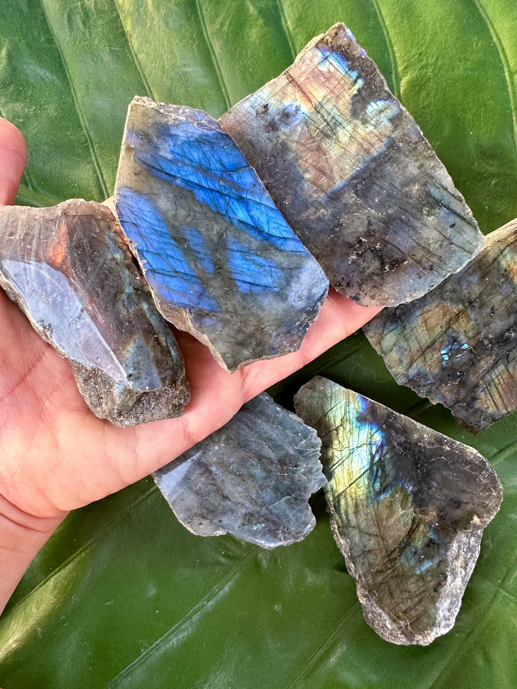 LABRADORITE SLABS, Polished with Blue Flash | Natural Tumbled Gemstone Crystal for Meditation Altar, Energy Healing, Wicca, Metaphysical