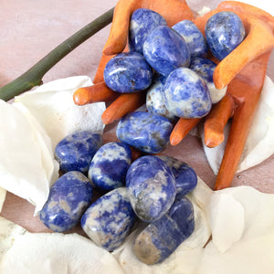 Sodalite Tumbled